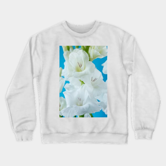 Gladiolus  'White Friendship' Crewneck Sweatshirt by chrisburrows